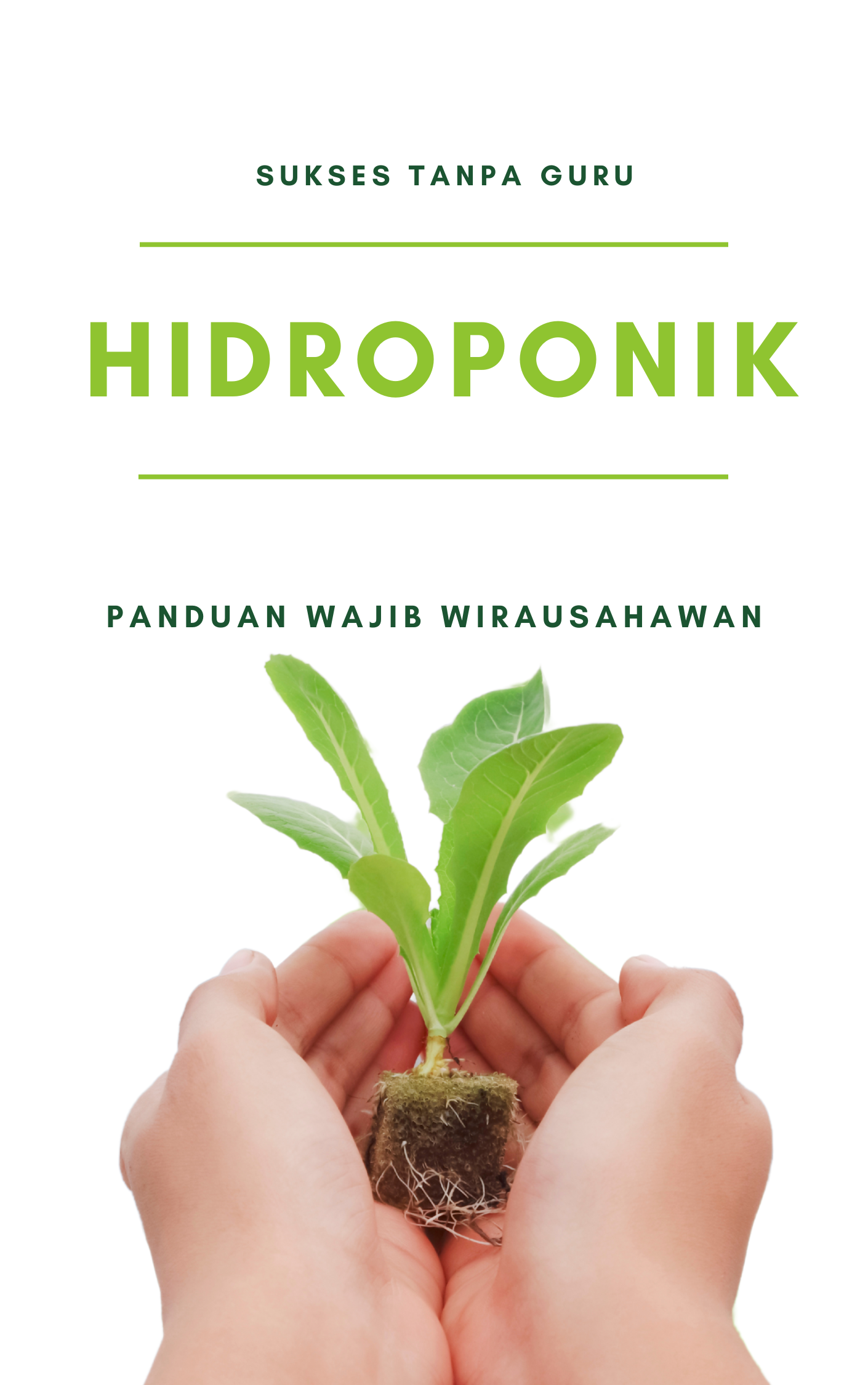 HIDROPONIK BROKOLI